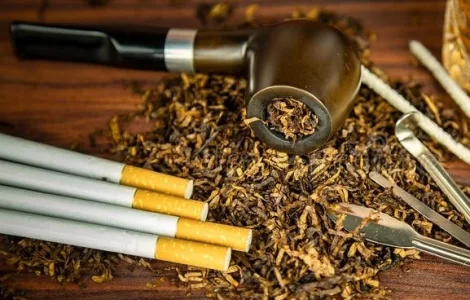 Требуется табачный продукт махорки