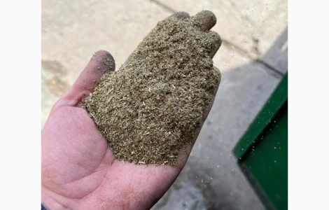 Купим махорку в очень больших объемах