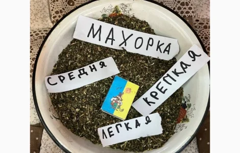 Покупаем махорку для самокруток и курения