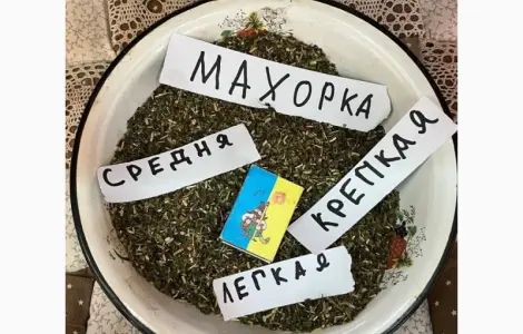 Покупаємо махорку для самокруток і куріння