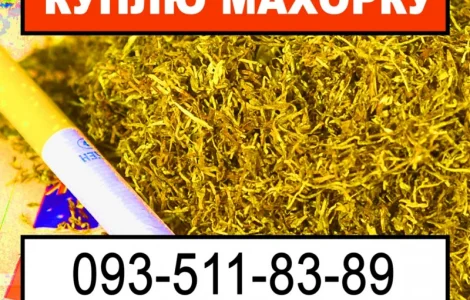 Махорка та інше шодо тютюна