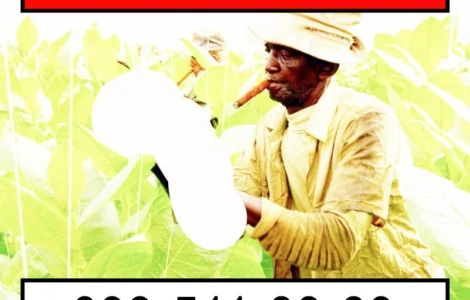 Куплю махорку від виробників