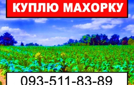 Махорка - Ваша