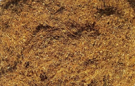 Пропоную тюнтюн без палок та пилі є гільзи