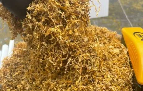 Натуральний тютюн Вірджинія Голд – преміум якість