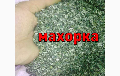 Домашня махорка