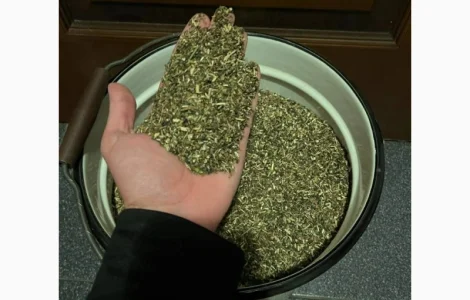 Продам Махорку Самосад без пыли и мусора! Супер цена