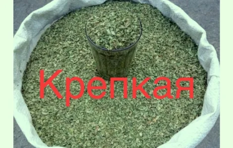 Махорка вищого сорту: ваш найкращий вибір