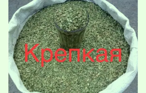 Махорка высшего сорта: ваш лучший выбор