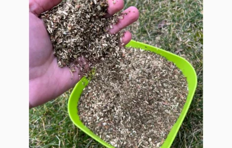 Продам тютюн самосад махорка