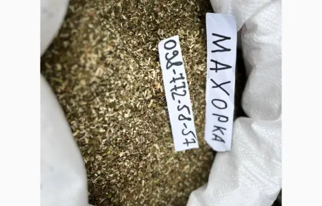 Продам Махорку(среднюю) отличного