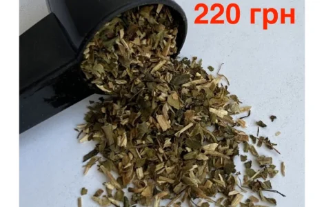 Самосад махорка: справжня насолода