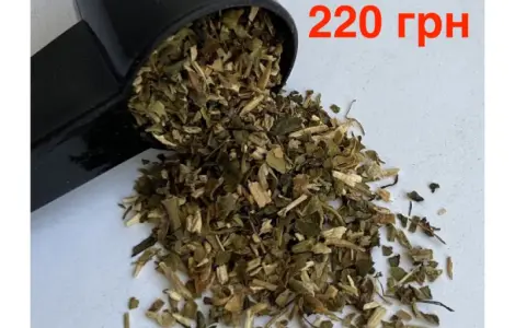 Самосад махорка: настоящая наслада