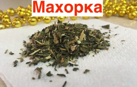 Махорка Самосад 2023 року без пыли