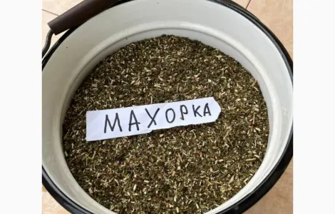 Табак Махорка такая крепкая что дерет