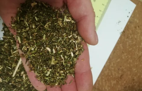 Продаю домашний табак Махорка и Вирджиния