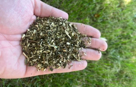 Краща махорка від власного виробника