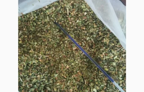 Натуральна махорка з власного врожаю