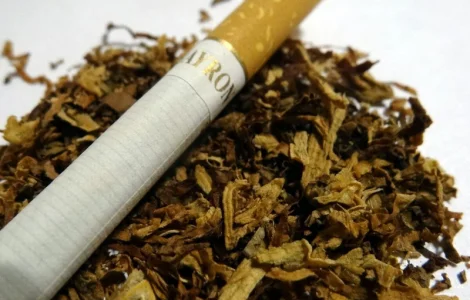 Натуральна махорка для цінителів