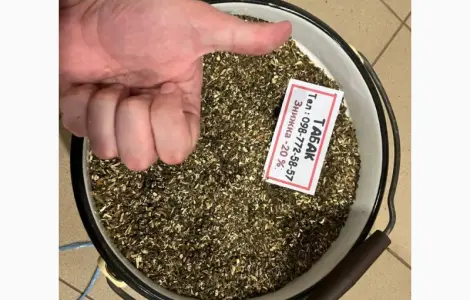 Натуральна махорка з нашого саду