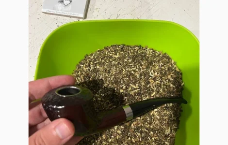 Свіжа махорка-самосад без хімії