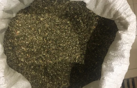 Табак Махорка Супер цена