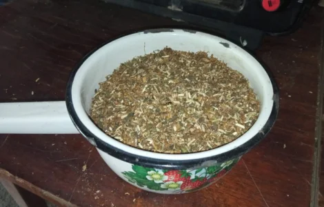 Тютюн домашній самосад не гірчить не пече Махорка