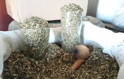 Махорка настоящий і тютюн берлі вірджінія Махорка дідовська класна не пикуча