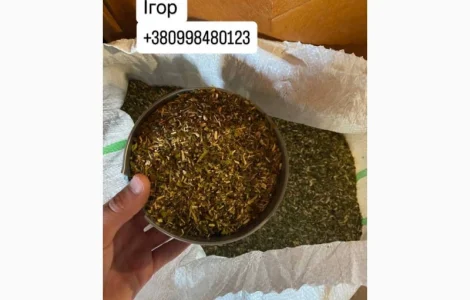 Тютюн табак самосад опт і розніца