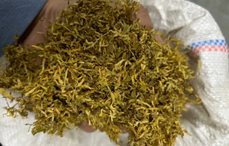 Гільзи / Тютюн / Машинки / Берлі / Вірджинія / Міленіум / Голд / Дюбек / Гавана / Кап Блек