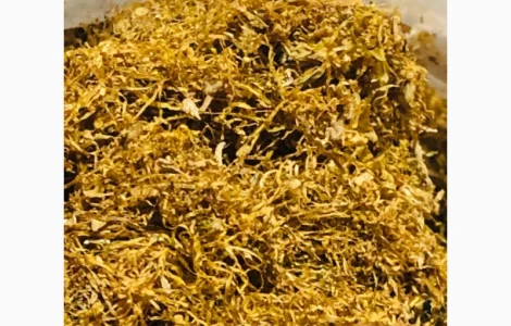 ОПЛАТА Післяоплата. Вірджинія