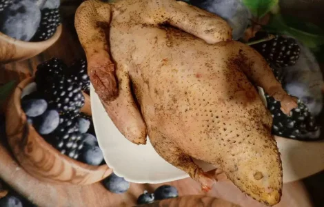 Домашняя индоутка - мясо индоутинных тушек