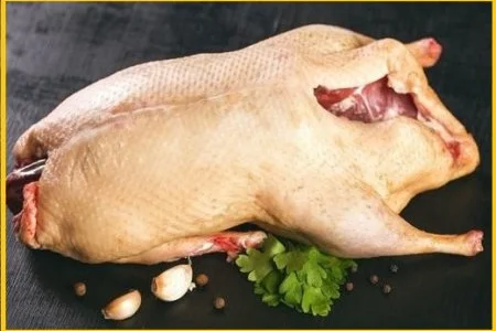 Тушка мускусної качки шипуна – дієтичне м’ясо