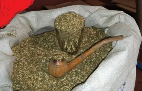 Есть дедовский самосад и табак под машинки Вирджиния домашняя не мокрая