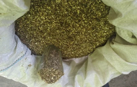 Вірджінія і берлі крепкі табаки є у діда Махорка свіженька не смирдить ногою.)