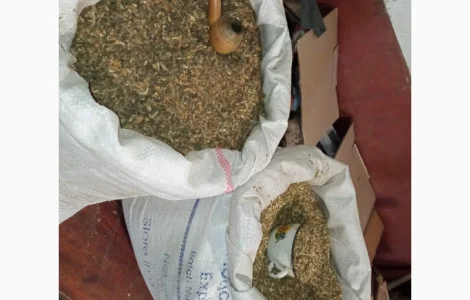 Самосад для мужиків домашній весь домашній Тютюн без приправ