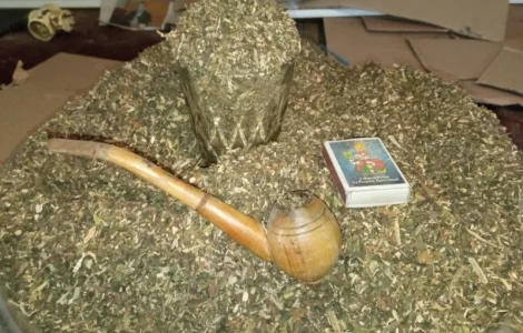 Табак домашній давай сюда ! Самосад наш сільський діда Міші