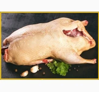 Мясо мускусної качки шипуна у продажу