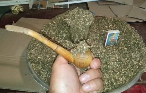 Український табак пропоную вам. Кому махорка кому тютюн