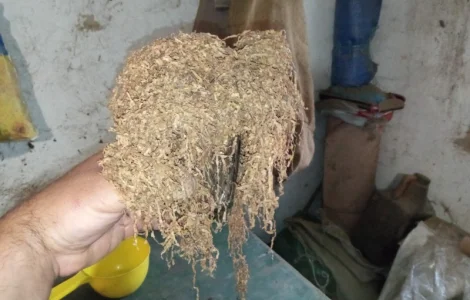 Табак Український ! не Китай і Турція а Полтава