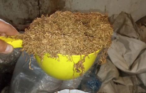 ТЮТЮН сільський Махорка дідовська твбвк ВІРДЖІНІЯ