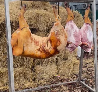 Домашняя свинина, туши, колбасы, сало опт/розница