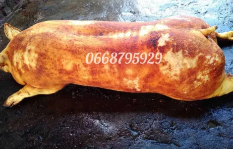 Туши свиней, мясо свинины под заказ