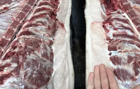 Тушки свиней, мясо свинины под заказ