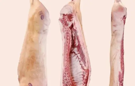 Продам туші та півтуші свинини