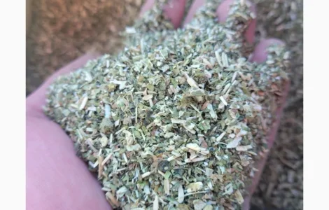 Махорка домашня для самокруток