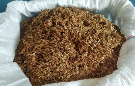 Табак оптимальної вологості Вірджинія