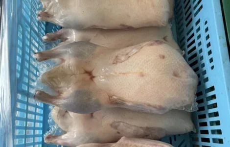 Тушки утки Пекин у продажу