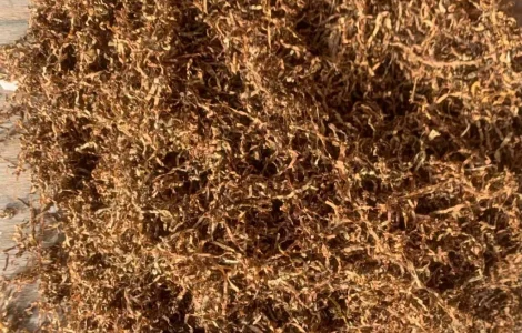 Купую Тютюн Опт