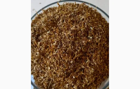 Вирджиния Бразилия